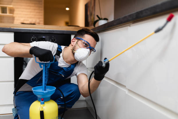 Best Flea Control Services  in Cranford, NJ