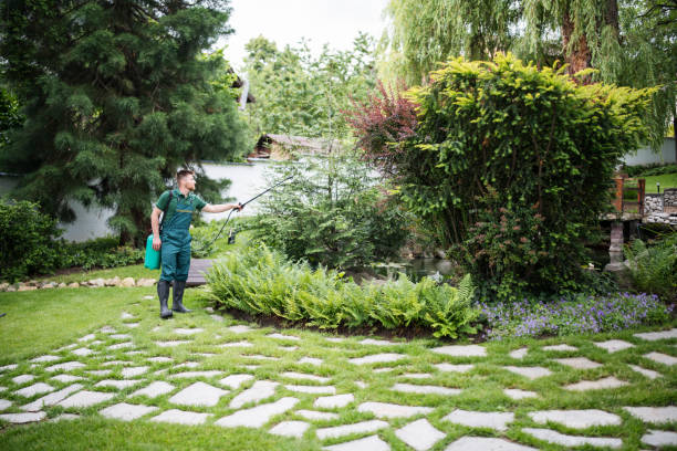 Best Residential Pest Control  in Cranford, NJ