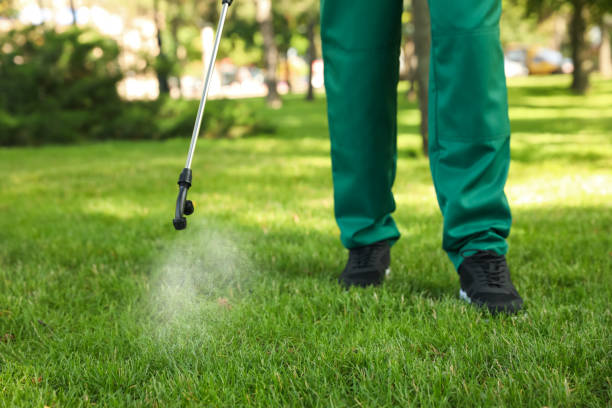 Insect Control in Cranford, NJ