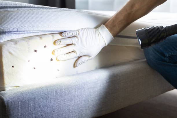 Best Best Pest Control Companies  in Cranford, NJ
