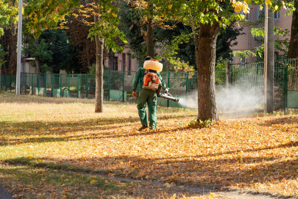 Best Pest Prevention Services  in Cranford, NJ