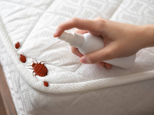 Professional Pest Control in Cranford, NJ